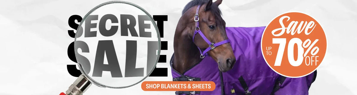 Horse wearing a purple blanket with 'Secret Sale' and 'Save 70%' text on a white background