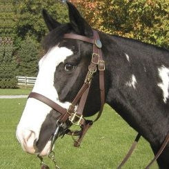 Shenandoah Beta Halter Bridle Combo