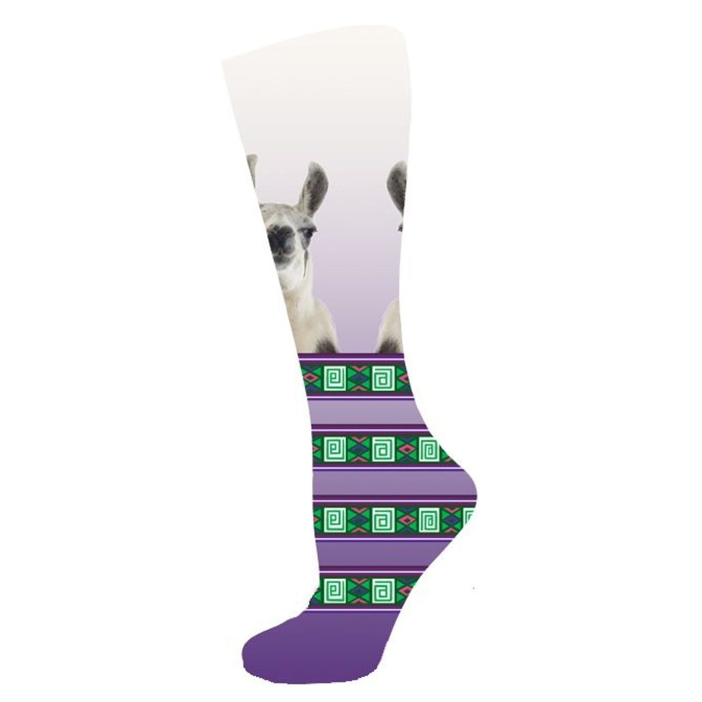 is00007r-llama.jpg