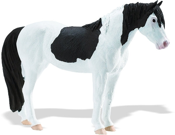 Abaco Barb Mare