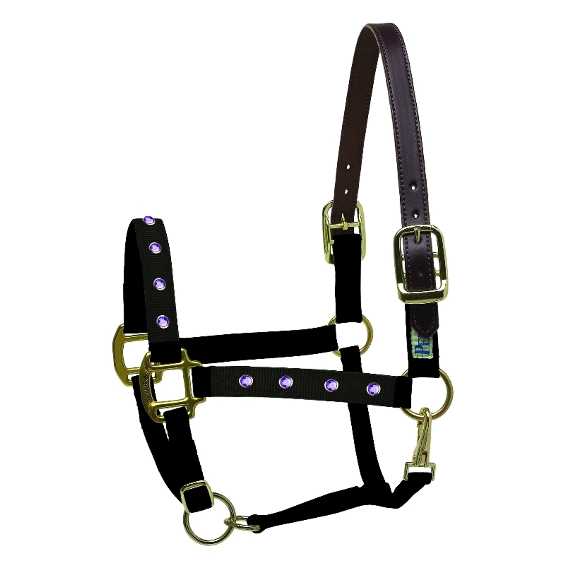 perris-154_bling_halter_purple.jpg