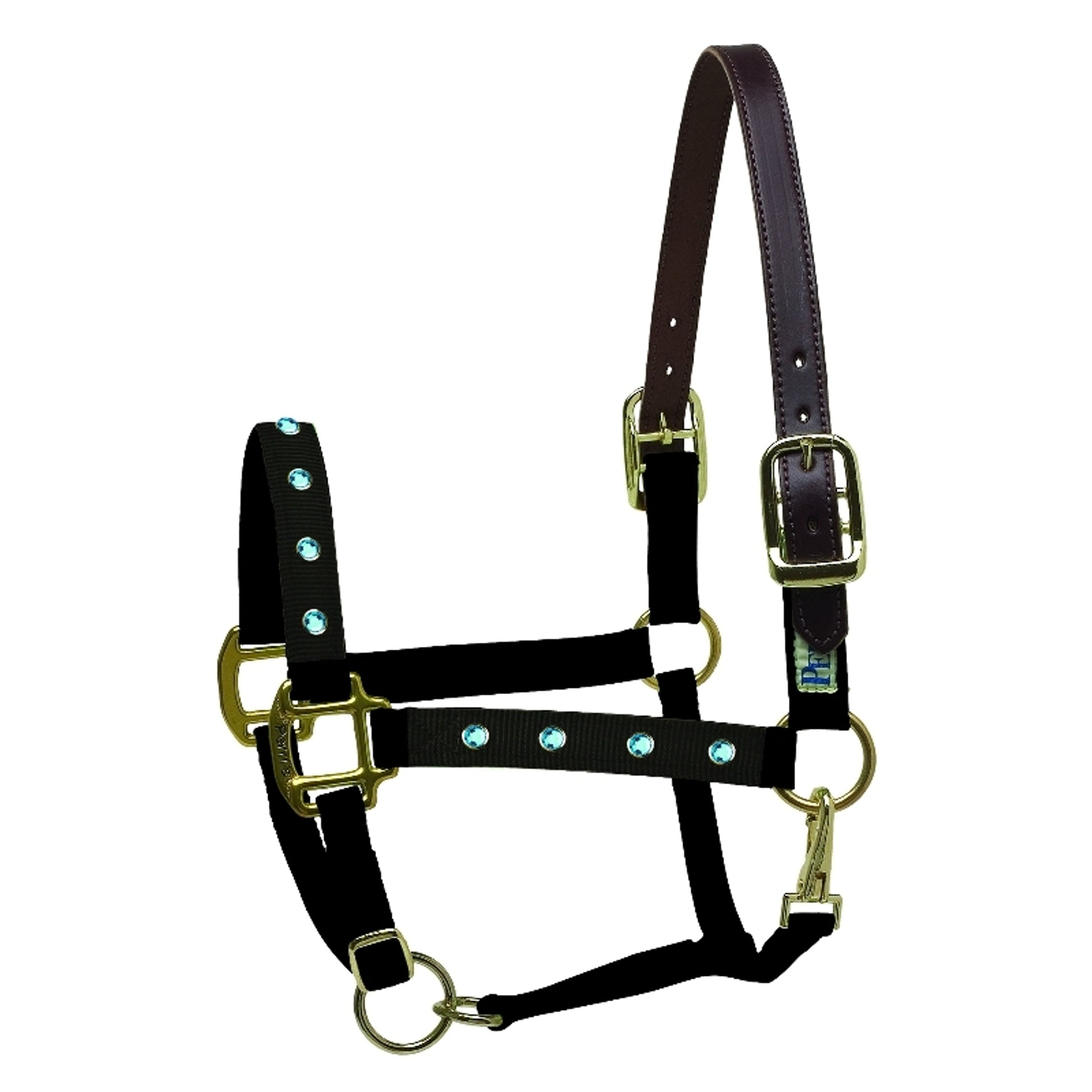 perris-154_bling_halter_turquoise.jpg
