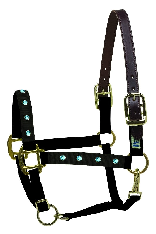 perris-154_bling_halter_turquoise.jpg