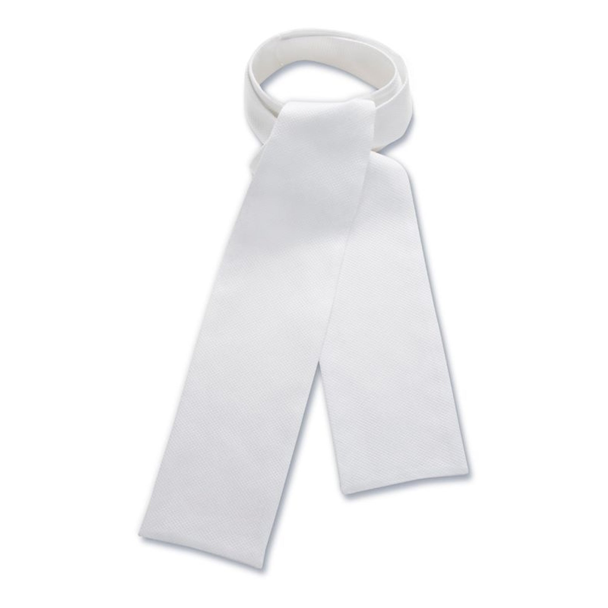 RJ Classics Platinum Traditional Stock Tie