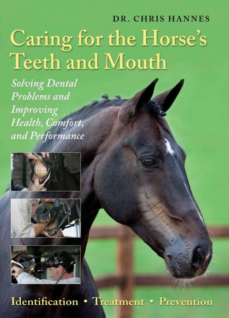 Caring for Horses Teeth and Mouth by Dr Chris Hannes